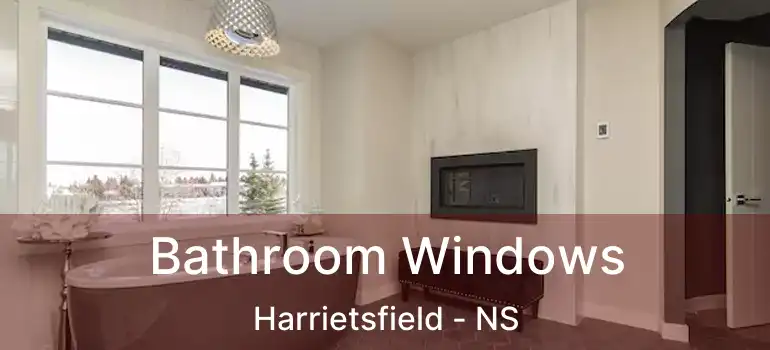  Bathroom Windows Harrietsfield - NS