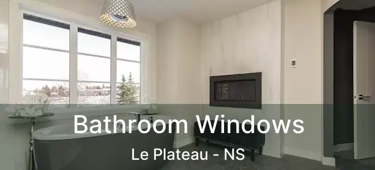  Bathroom Windows Le Plateau - NS