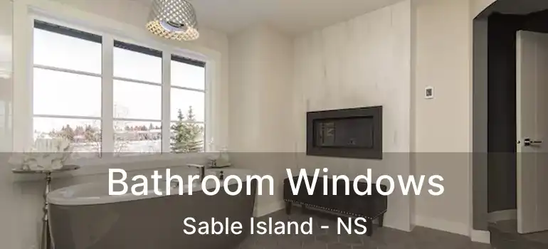  Bathroom Windows Sable Island - NS