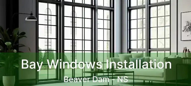  Bay Windows Installation Beaver Dam - NS