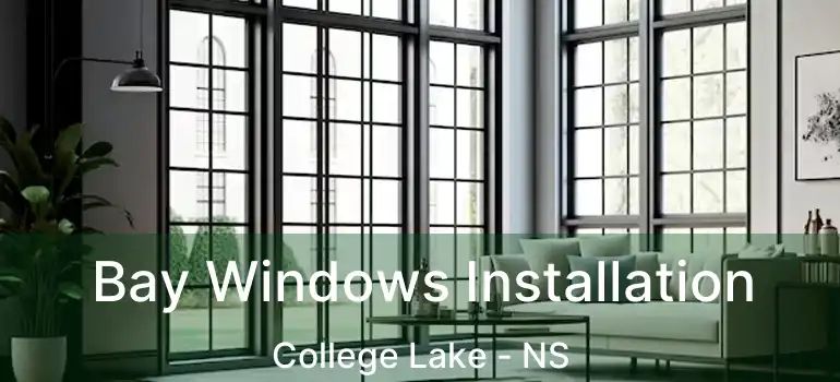  Bay Windows Installation College Lake - NS