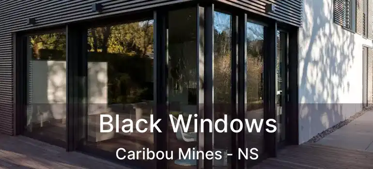  Black Windows Caribou Mines - NS