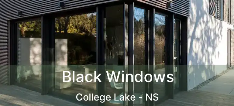  Black Windows College Lake - NS