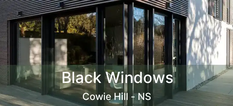  Black Windows Cowie Hill - NS