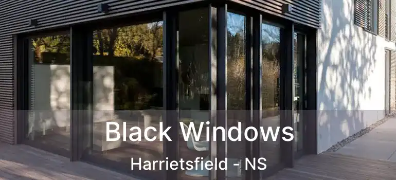  Black Windows Harrietsfield - NS