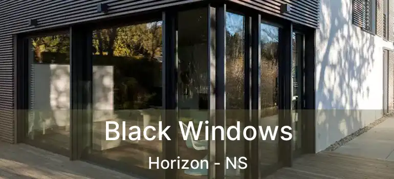  Black Windows Horizon - NS