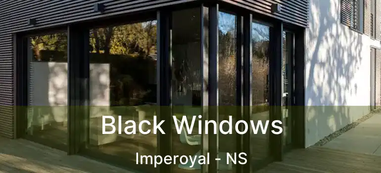  Black Windows Imperoyal - NS