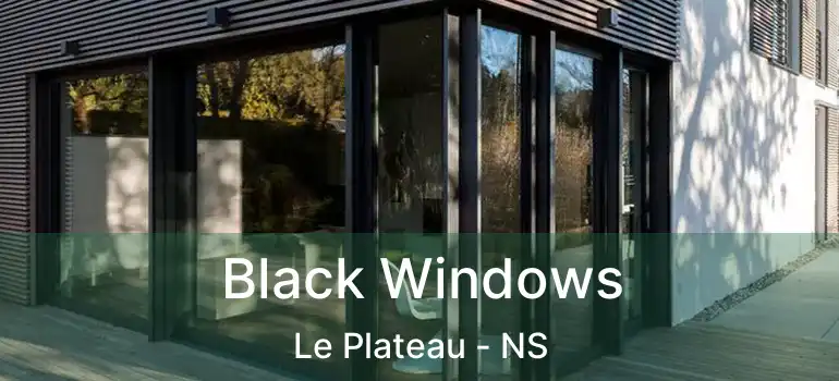  Black Windows Le Plateau - NS