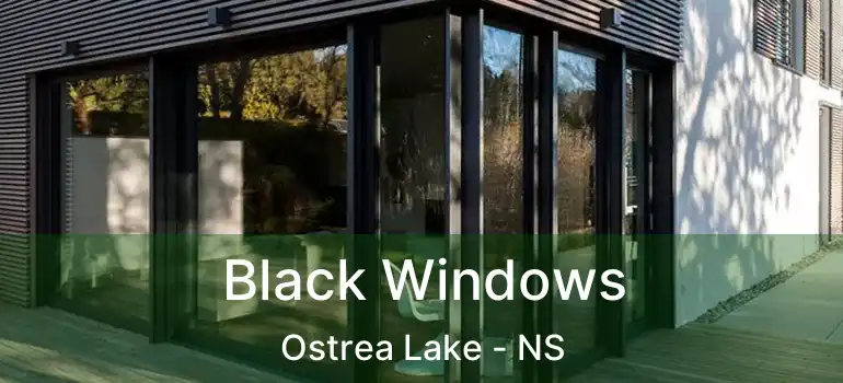  Black Windows Ostrea Lake - NS