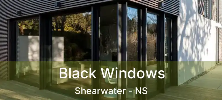  Black Windows Shearwater - NS