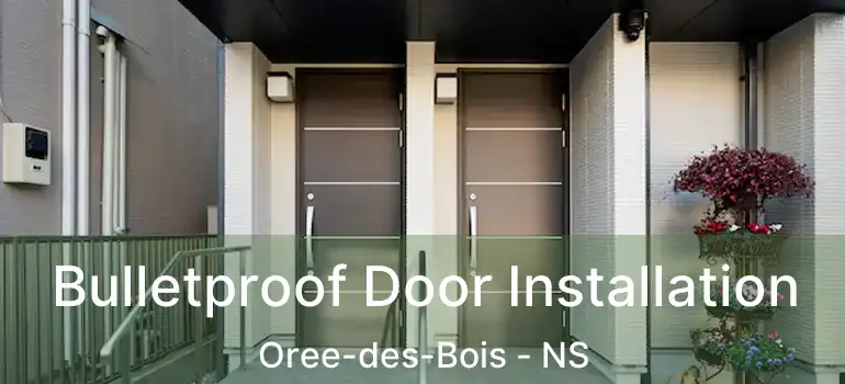  Bulletproof Door Installation Oree-des-Bois - NS