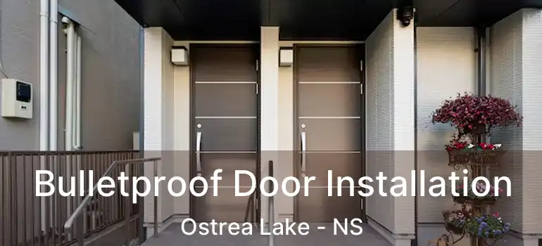  Bulletproof Door Installation Ostrea Lake - NS