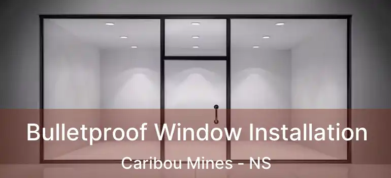  Bulletproof Window Installation Caribou Mines - NS