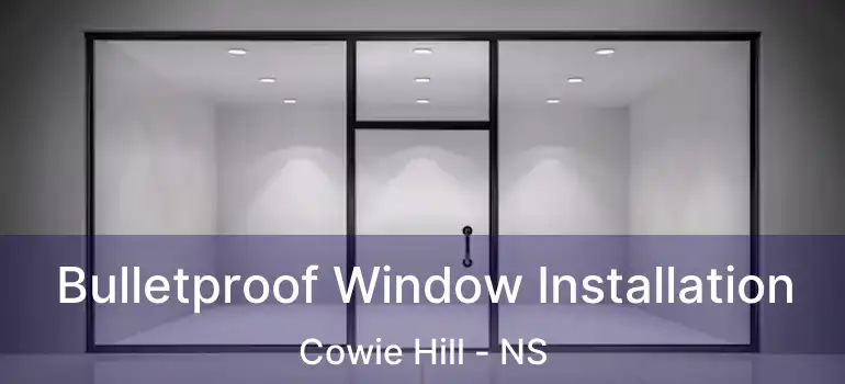  Bulletproof Window Installation Cowie Hill - NS