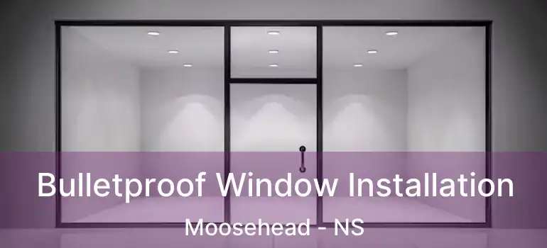  Bulletproof Window Installation Moosehead - NS