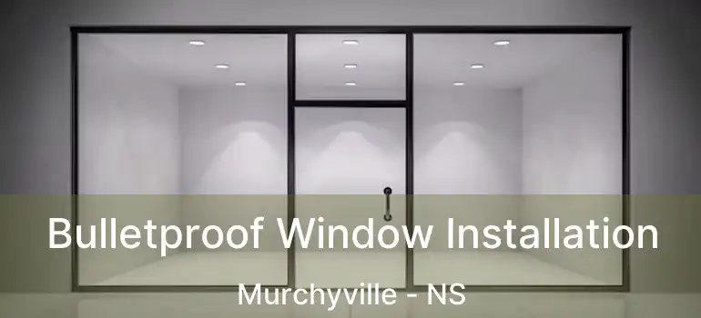  Bulletproof Window Installation Murchyville - NS