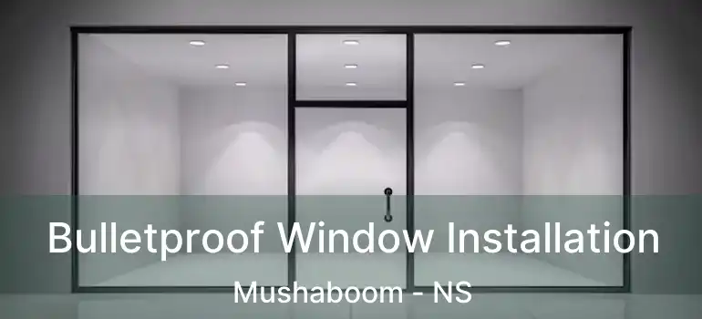  Bulletproof Window Installation Mushaboom - NS