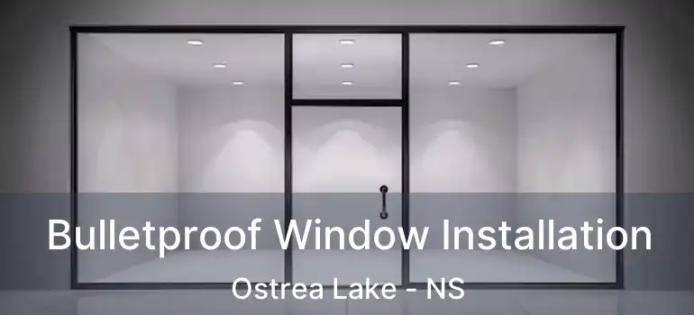  Bulletproof Window Installation Ostrea Lake - NS