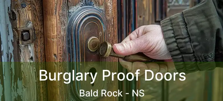  Burglary Proof Doors Bald Rock - NS