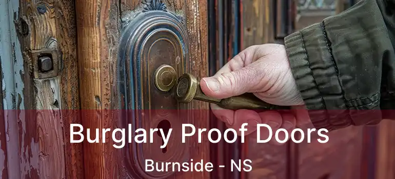  Burglary Proof Doors Burnside - NS