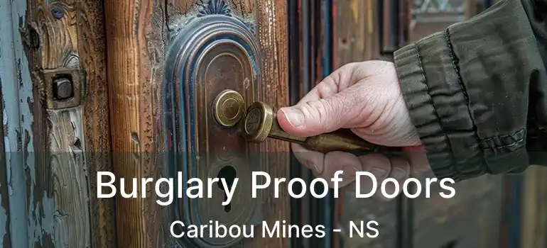  Burglary Proof Doors Caribou Mines - NS