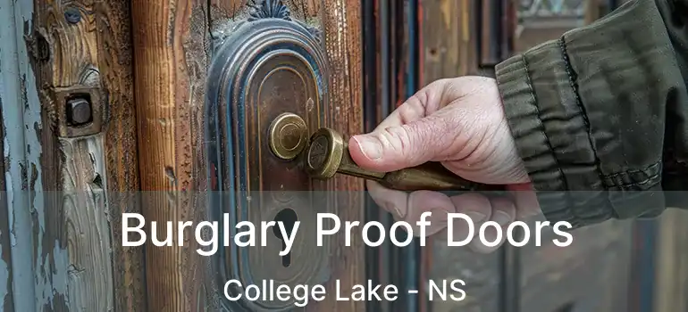  Burglary Proof Doors College Lake - NS