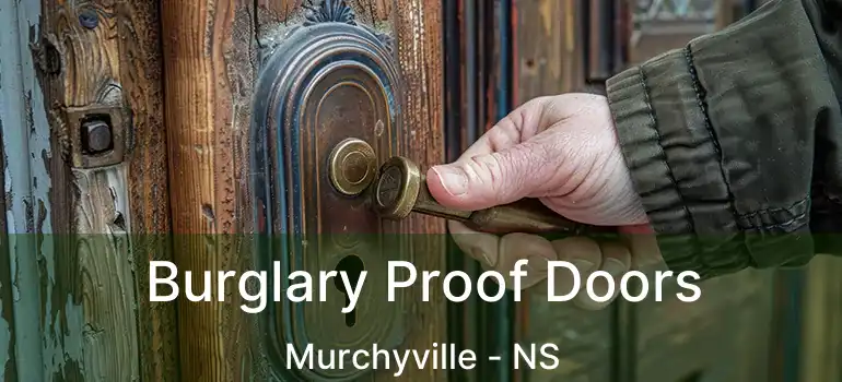  Burglary Proof Doors Murchyville - NS