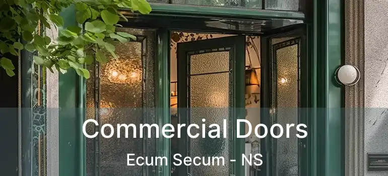  Commercial Doors Ecum Secum - NS