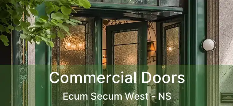  Commercial Doors Ecum Secum West - NS