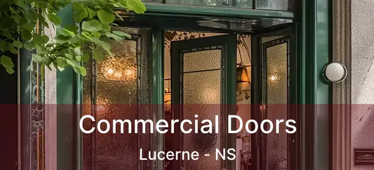  Commercial Doors Lucerne - NS