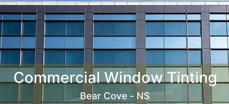  Commercial Window Tinting Bear Cove - NS