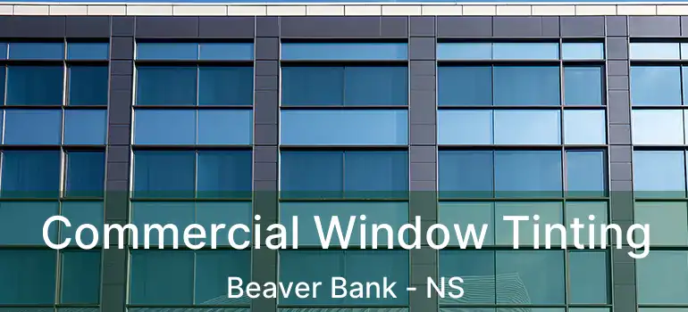  Commercial Window Tinting Beaver Bank - NS