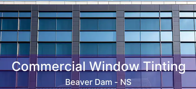  Commercial Window Tinting Beaver Dam - NS