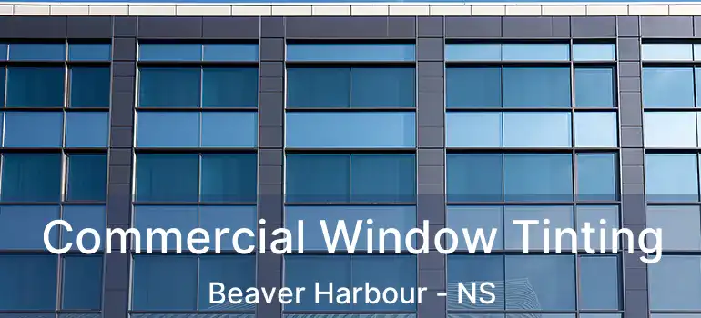  Commercial Window Tinting Beaver Harbour - NS