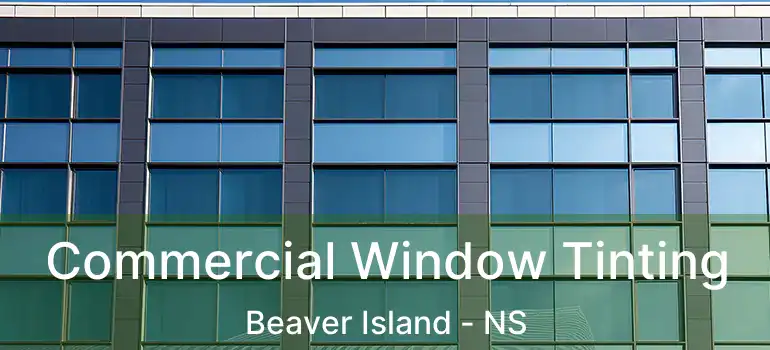  Commercial Window Tinting Beaver Island - NS