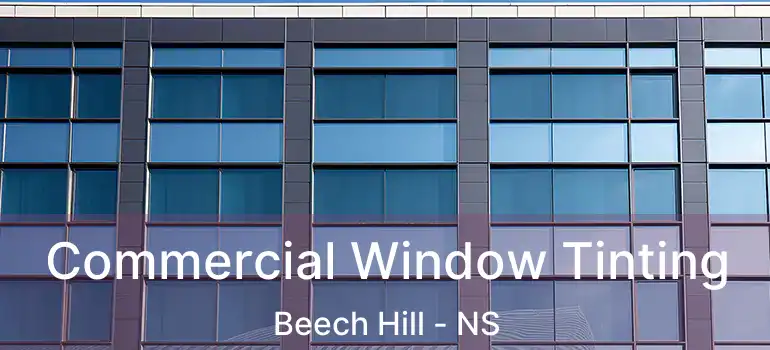  Commercial Window Tinting Beech Hill - NS