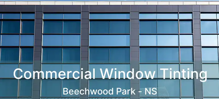  Commercial Window Tinting Beechwood Park - NS