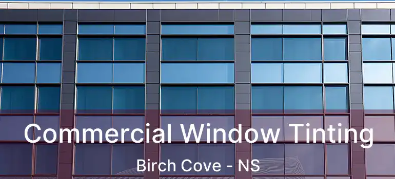  Commercial Window Tinting Birch Cove - NS