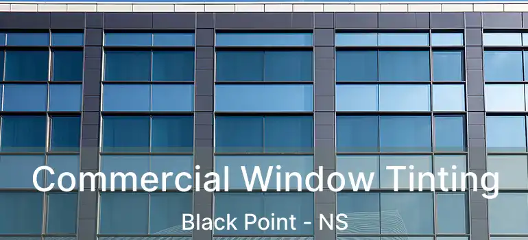  Commercial Window Tinting Black Point - NS