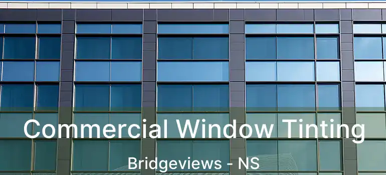  Commercial Window Tinting Bridgeviews - NS