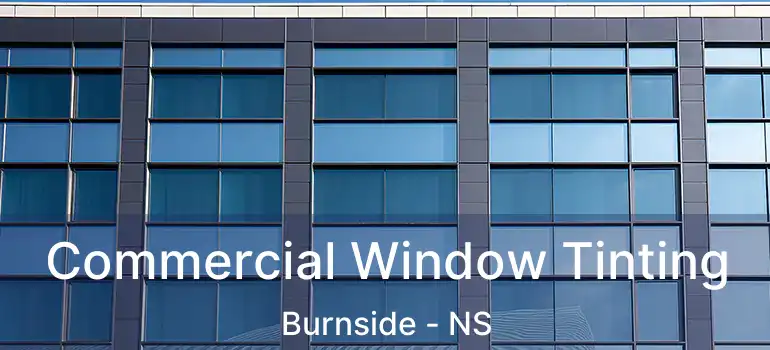  Commercial Window Tinting Burnside - NS