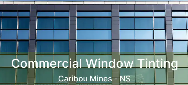  Commercial Window Tinting Caribou Mines - NS