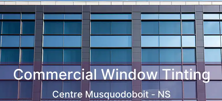  Commercial Window Tinting Centre Musquodoboit - NS