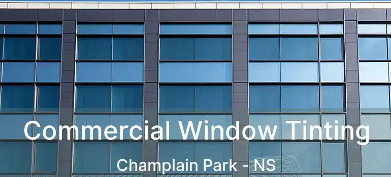  Commercial Window Tinting Champlain Park - NS