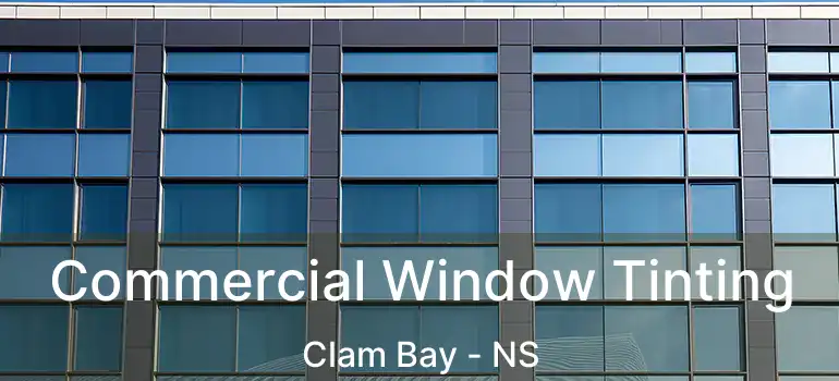  Commercial Window Tinting Clam Bay - NS