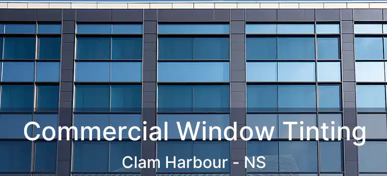  Commercial Window Tinting Clam Harbour - NS