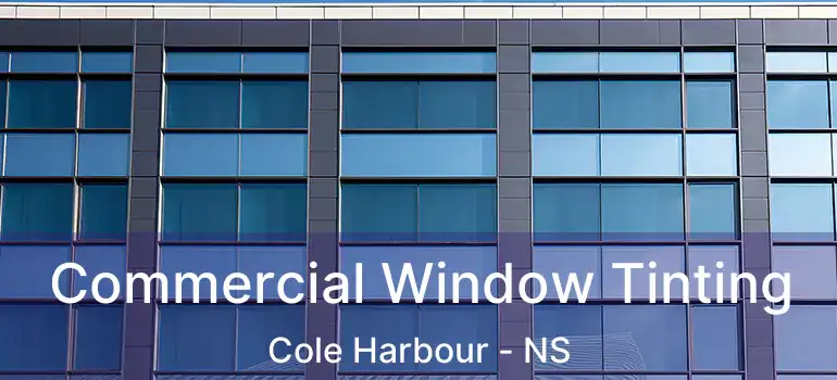  Commercial Window Tinting Cole Harbour - NS