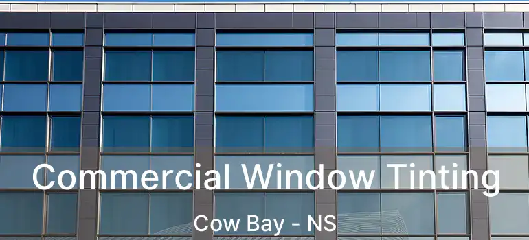  Commercial Window Tinting Cow Bay - NS