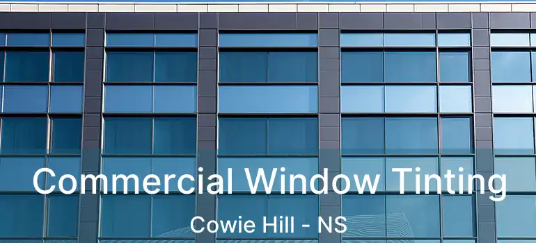  Commercial Window Tinting Cowie Hill - NS