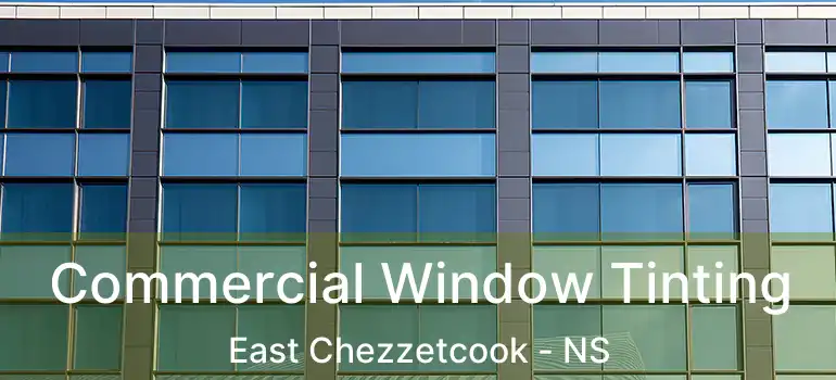  Commercial Window Tinting East Chezzetcook - NS